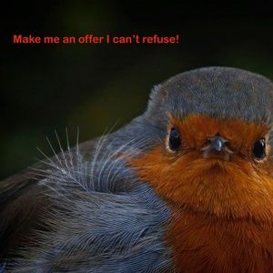 Offers are always welcome ....